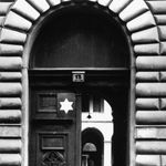 Nagydiofa 13 Nagydiofa 13