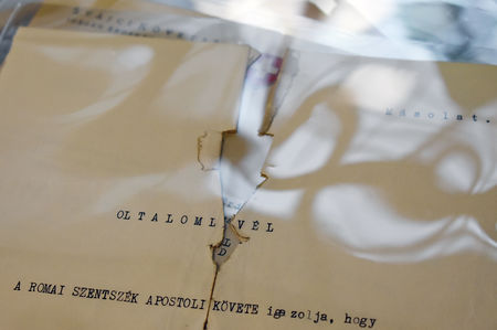 Protection passports in the Júlia Vajda Collection Protection passports in the Júlia Vajda Collection