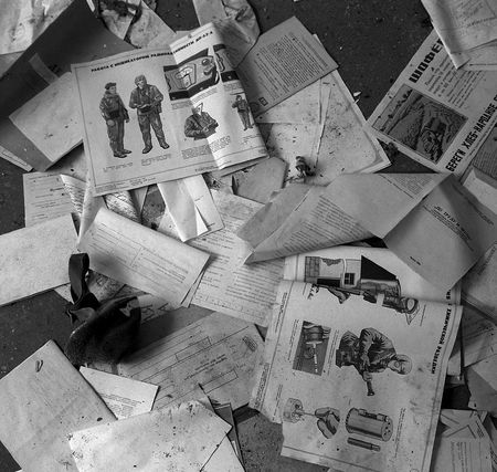 The Reactive Citizen The Reactive Citizen