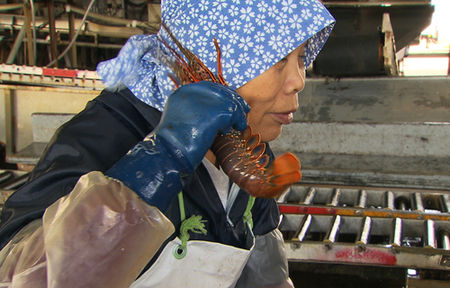 The Reactive Citizen: Screening of Tokyo's Belly, January 20 The Reactive Citizen: Screening of Tokyo's Belly, January 20