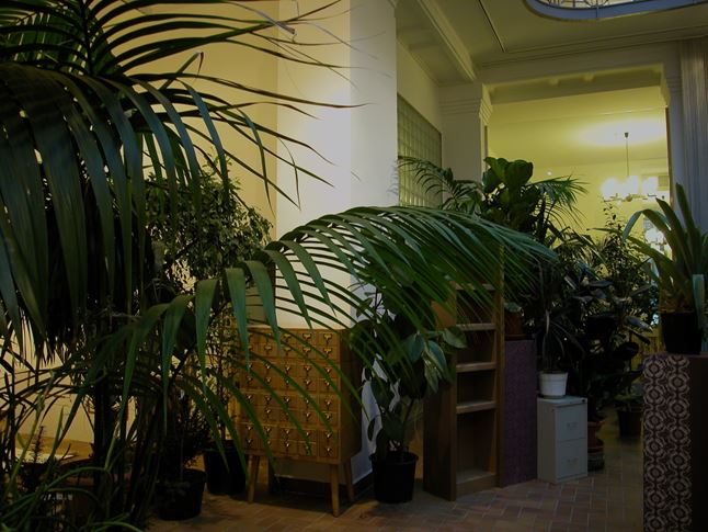 Wooden catalog drawer from the Radios displayed in the Lynné exhibition ('The Archives of the Living and the Dead'), February 2008 Wooden catalog drawer from the Radios displayed in the Lynné exhibition ('The Archives of the Living and the Dead'), February 2008